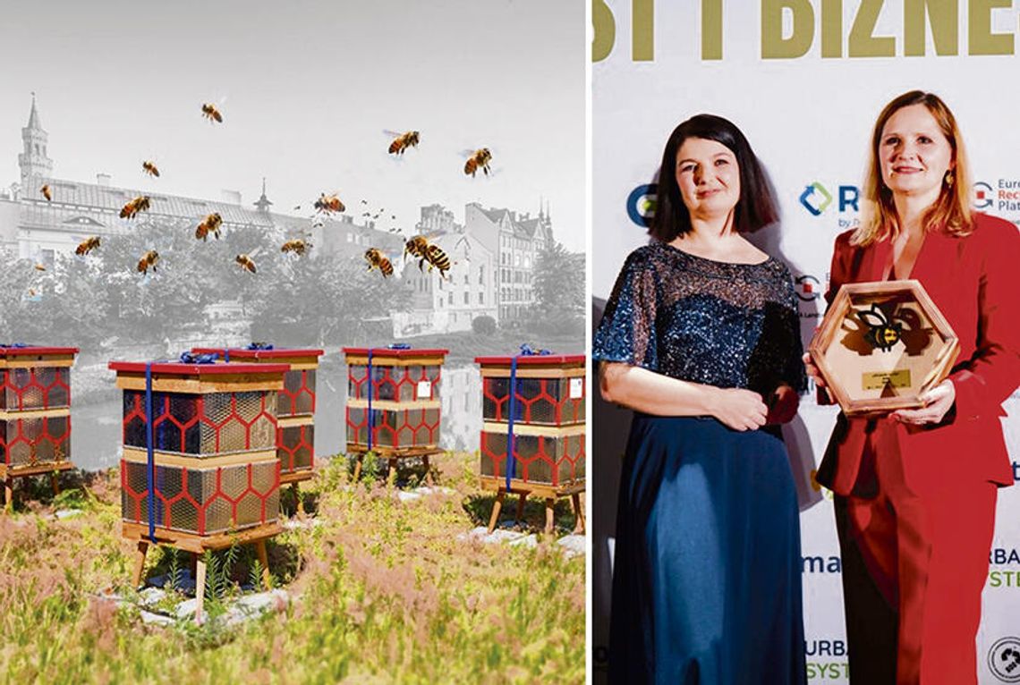 Ule wykonane z bębnów pralek w ramach projektu „Pasieka w sercu Opola”