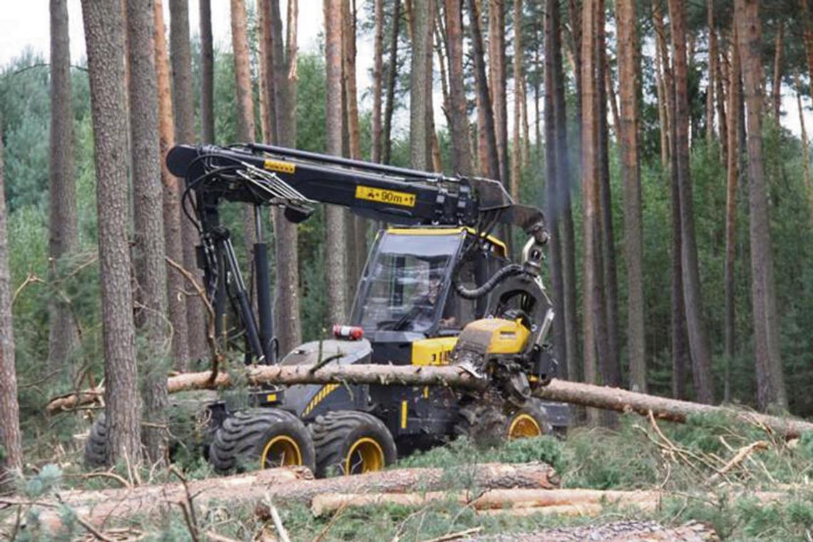 Opolskie lasy pod znakiem prac gospodarczych