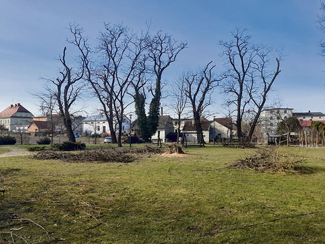 Park wypięknieje