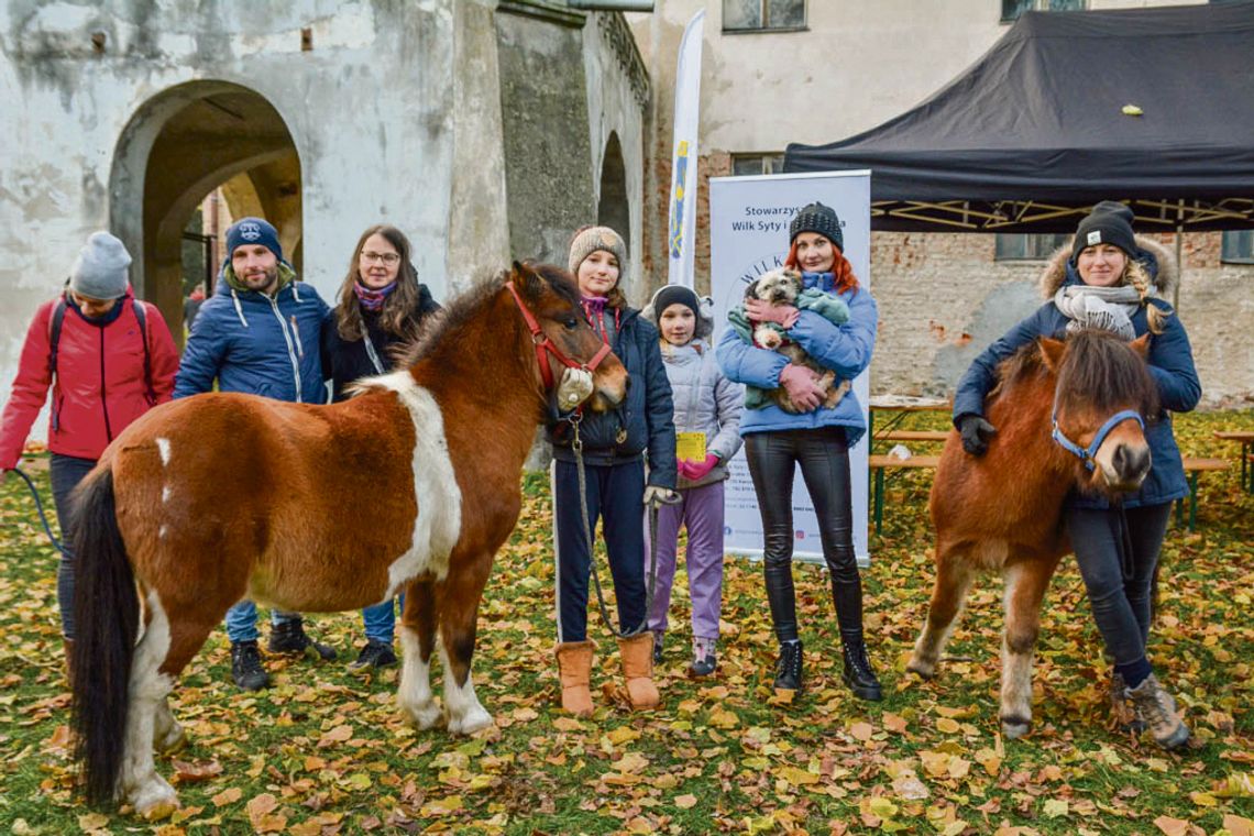 Postanowili pomóc zwierzętom