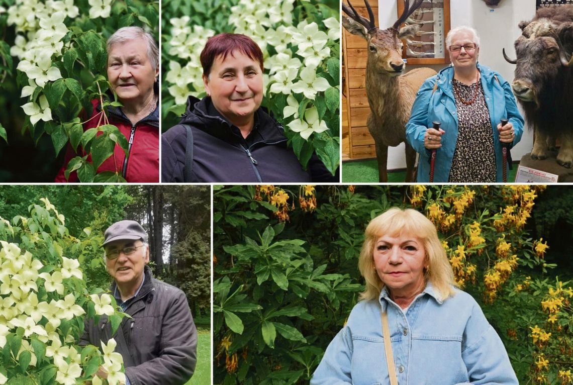Seniorzy zwiedzający ogród dendrologiczny w Lipnie w otoczeniu starych drzew i kwitnących krzewów.