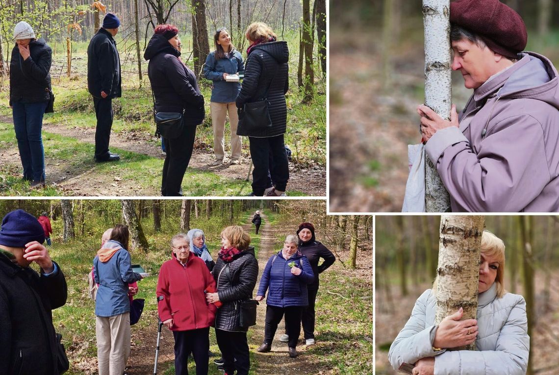 Seniorzy z Tarnowa Opolskiego podczas spokojnego spaceru w lesie w ramach leśnej kąpieli