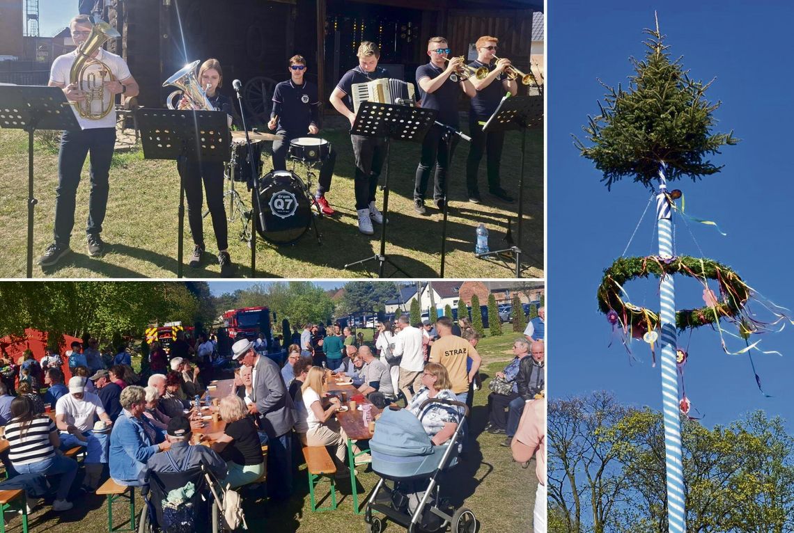 Ustawianie drzewka majowego podczas Maibaum Fest w Starych Budkowicach