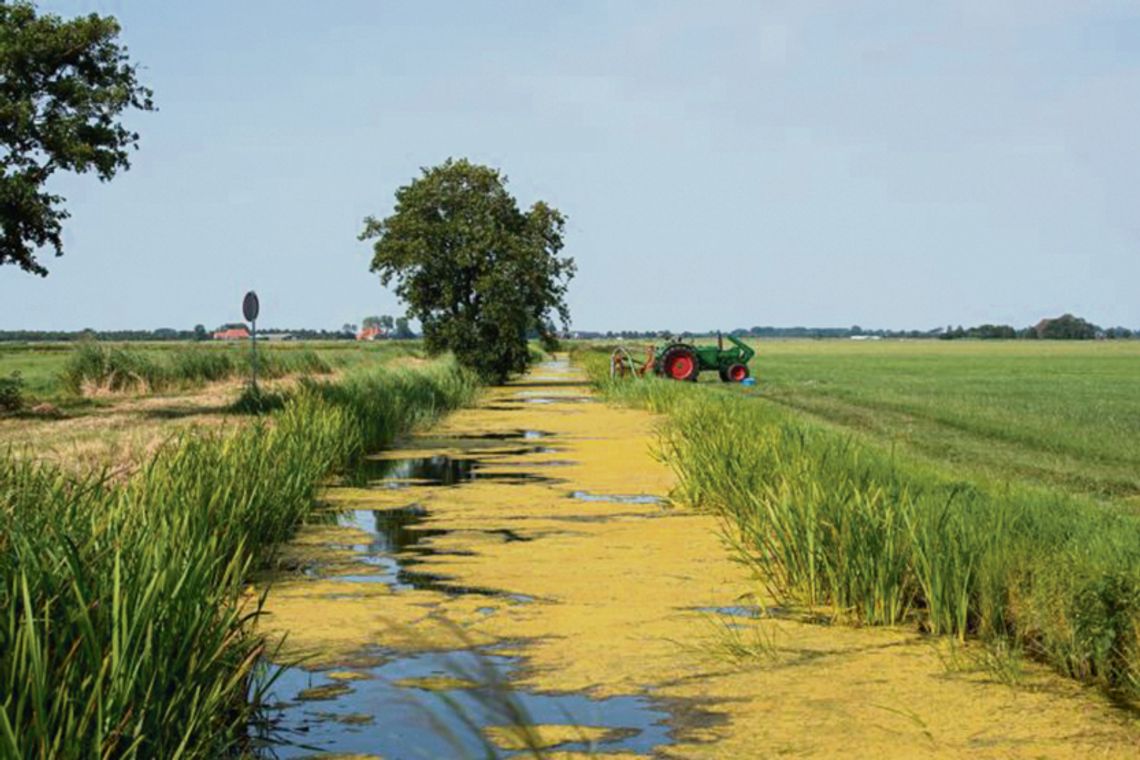 Strefy buforowe - naturalna ochrona wód i obszarów wrażliwych