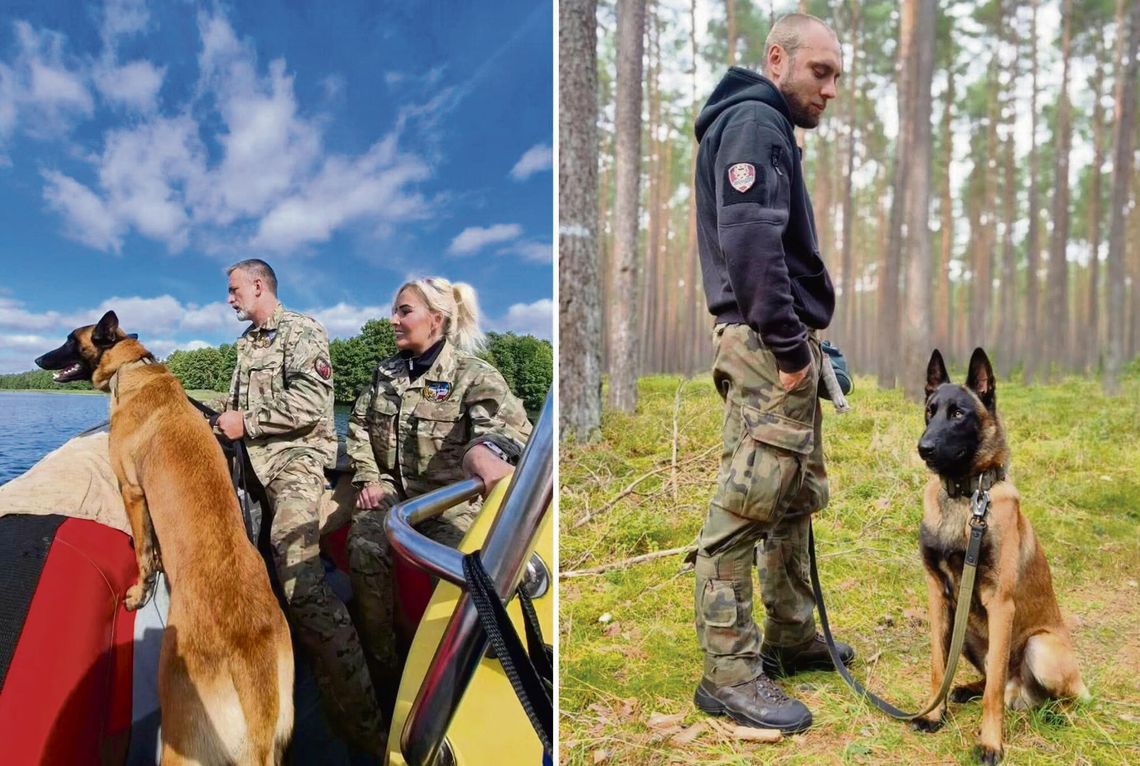 Sukces OPOLSARU! Trzy psy zdobyły certyfikaty HRD. To efekt setek godzin treningów OPOLSAR psy ratownicze certyfikacja HRD owczarki belgijskie poszukiwania osób zaginionych