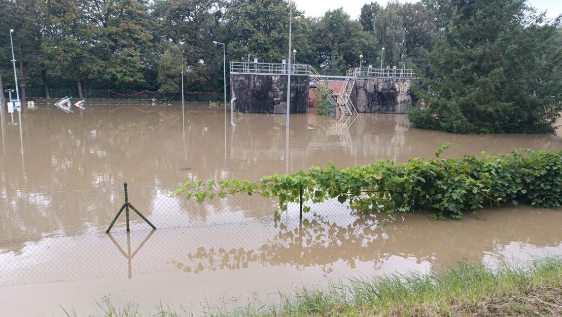 Rzeka Ścinawa Niemodlińska podczas powodzi we wrześniu 2024 roku w Tułowicach – widoczne zalane tereny i zagrożone budynki.