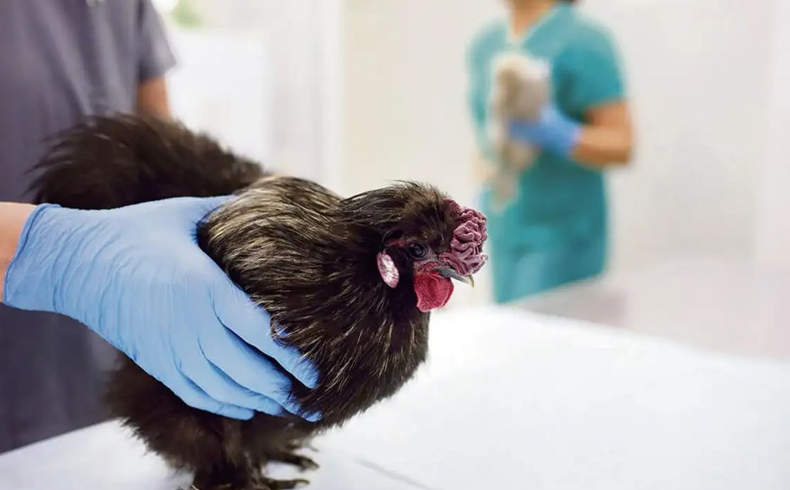 Uwaga mieszkańcy! Wojewoda wydała pilne rozporządzenie dotyczące większości gmin powiatu opolskiego Uwaga mieszkańcy! Wojewoda wydała pilne rozporządzenie dotyczące większości gmin powiatu opolskiego