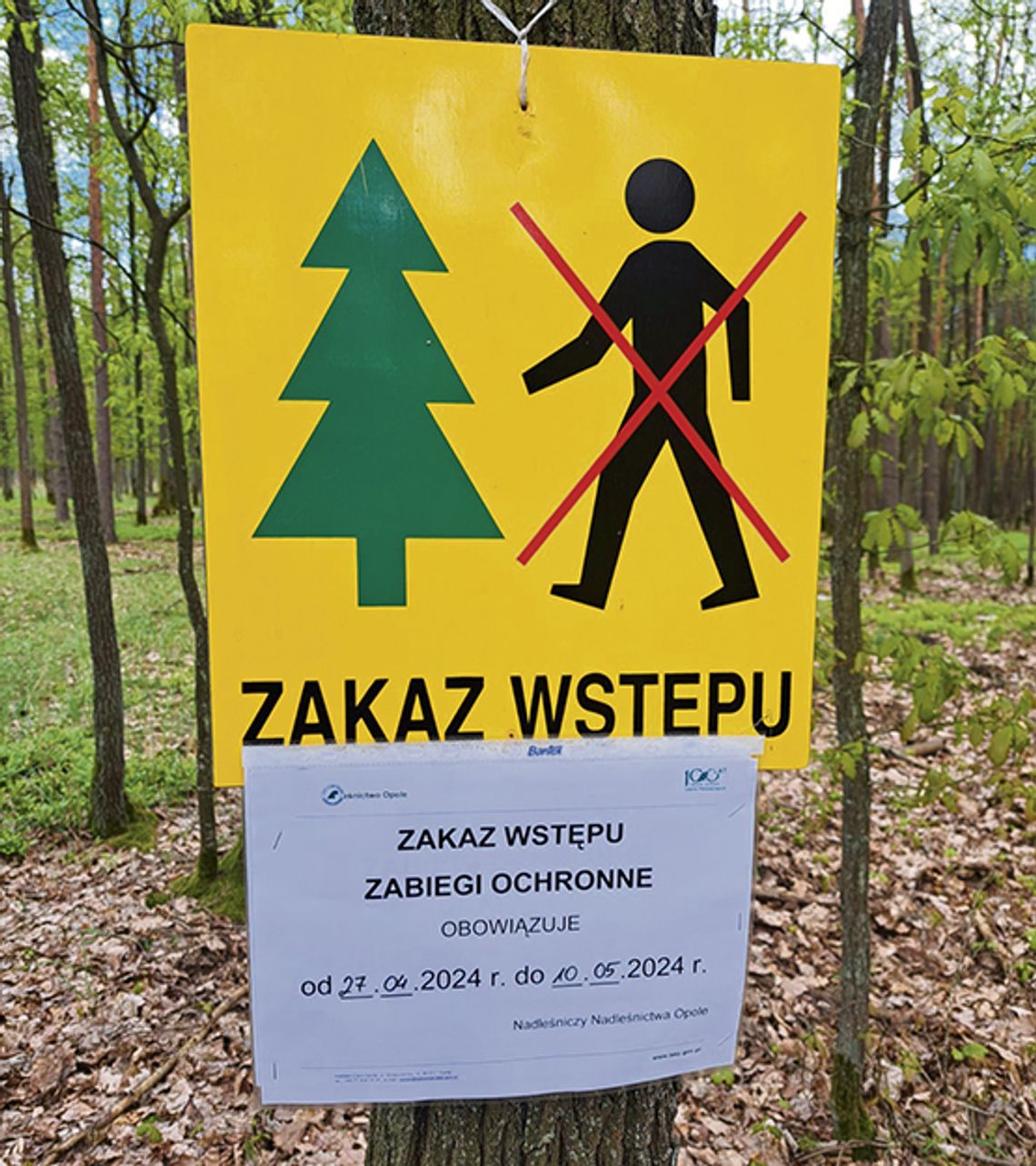 Uwaga! Są zakazy wstępu do lasów