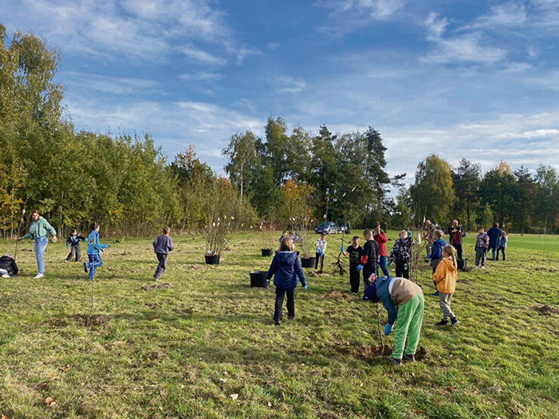 Zasadzili społeczny sad Zasadzili społeczny sad