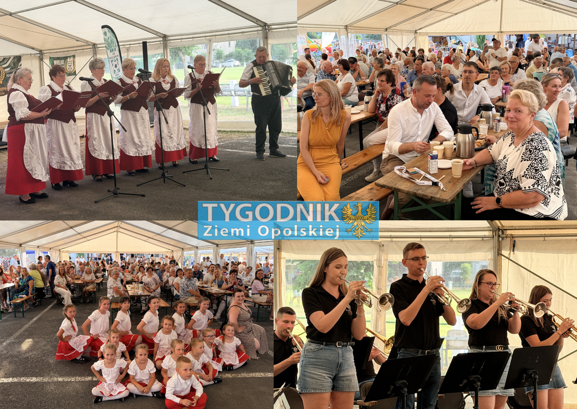 Publiczność podczas Trzeciego Koncertu Powiatowego Mniejszości Niemieckiej w Popielowie, występ zespołów folklorystycznych i Andrei Rischki na scenie plenerowej w województwie opolskim.